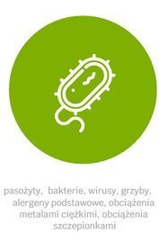 Pakiet 1 Całościowy, Holistyczny