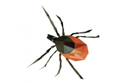 BORELIOZA DIAGNOSTYKA