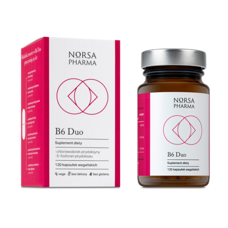 B6 Duo (120 kapsułek)