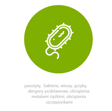 Pakiet 1 Całościowy, Holistyczny