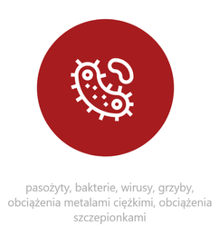 Pakiet 3 Poszukiwanie przyczyn choroby